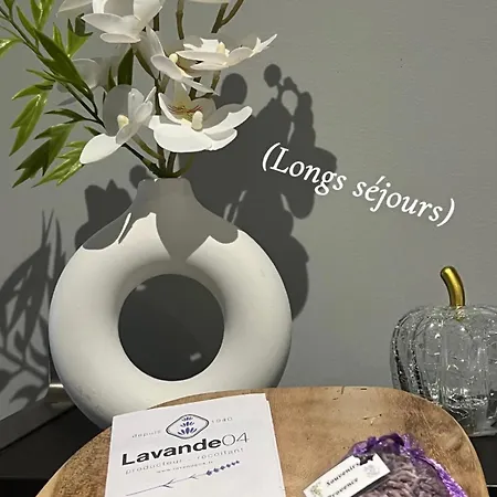 Idéal Curistes, Souvenirs De Provence, T2 Neuf Climatisé Appartement