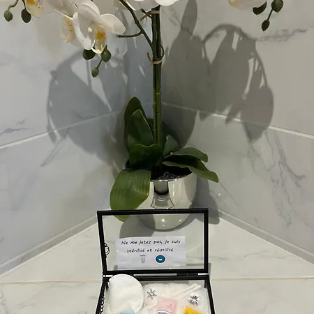 Idéal Curistes, Souvenirs De Provence, T2 Neuf Climatisé