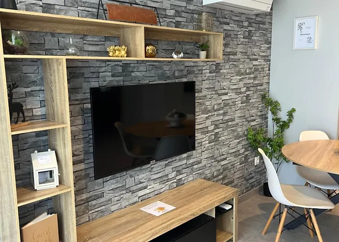 Ideal Curistes, Souvenirs De Provence, T2 Neuf Climatise Digne-les-Bains