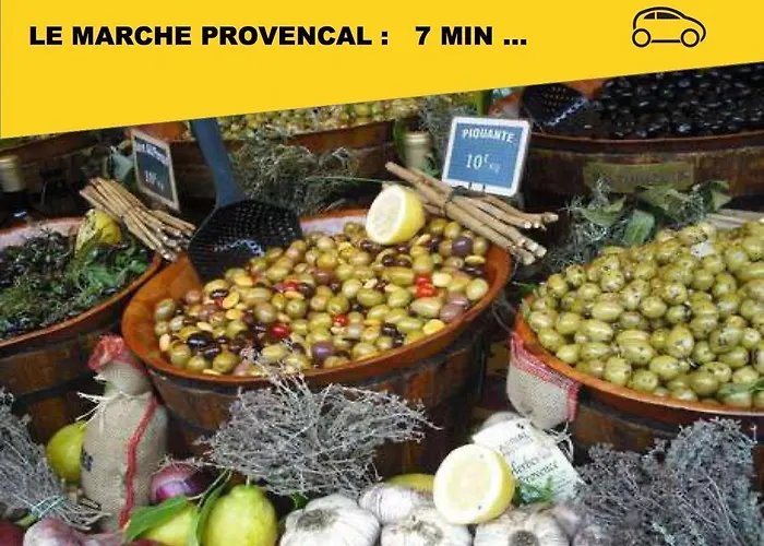 Apartment Ideal Curistes, Souvenirs De Provence, T2 Neuf Climatise *